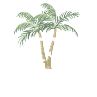 Par&Palm